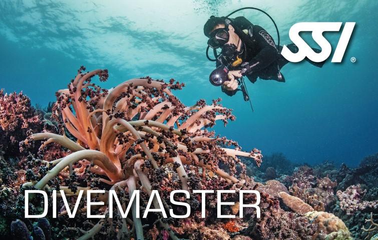 SSI Dive Master Course